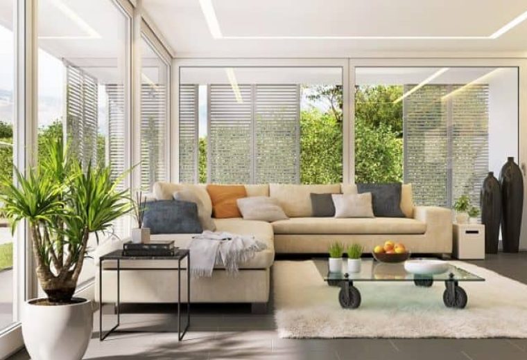 5 razones principales para tener plantas de interior 5 razones principales para tener plantas de interior